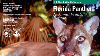 Florida Panther General Brochure 2023