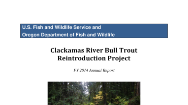Clackamas River Bull Trout Reintroduction Project FY 2014 Annual Report