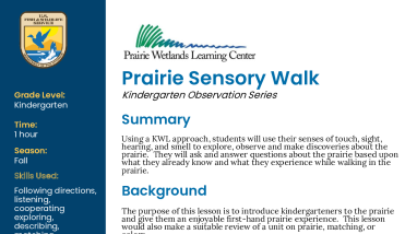 Kindergarten Fall Prairie Sensory Walk