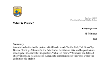 Kindergarten-What-is-Prairie-508.pdf