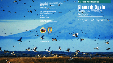 Klamath Basin Refuges General Brochure