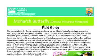 Monarch Butterfly Field Guide