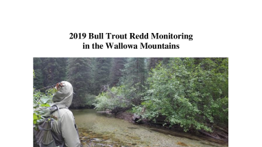 NPT 2019 Bull Trout Redd Counts - revised by RR 2020-10-21.pdf
