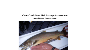 Clear Creek Dam Fish Passage Assessment Annual Progress Report 2014