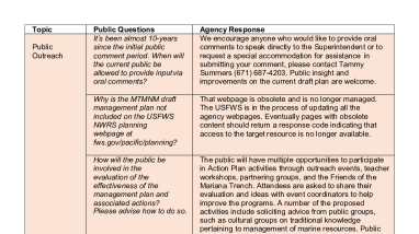 Virtual Public Questions & Answers Summary for DMMP.pdf
