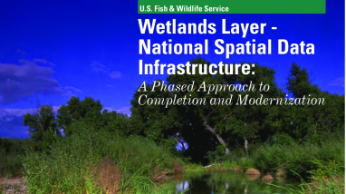 Wetlands Layer - National Spatial Data Infrastructure: A Phased Approach to Completion and Modernization