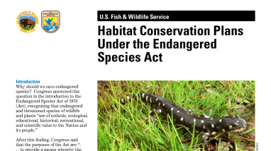 Habitat Conservation Plans Under the Endangered Species Act