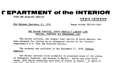 The Bolson Tortoise, North America's, Largest Land Reptile, Proposed for Endangered List September 27, 1978