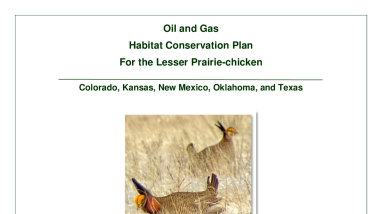Oil and Gas HCP and Draft EA for Lesser Prairie Chicken