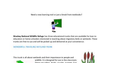 trunk info.pdf
