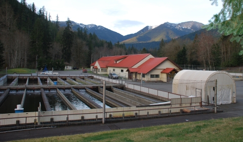 View of Quilcene National Fish Hatchery in WA State