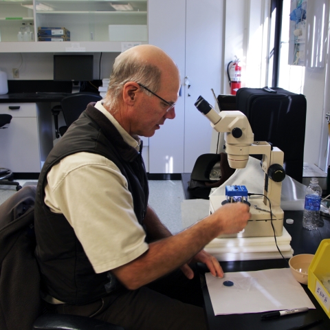 A man with glasses wearing Service short-sleeved shirt and vest, sits in front of a large microscope in a lab space.