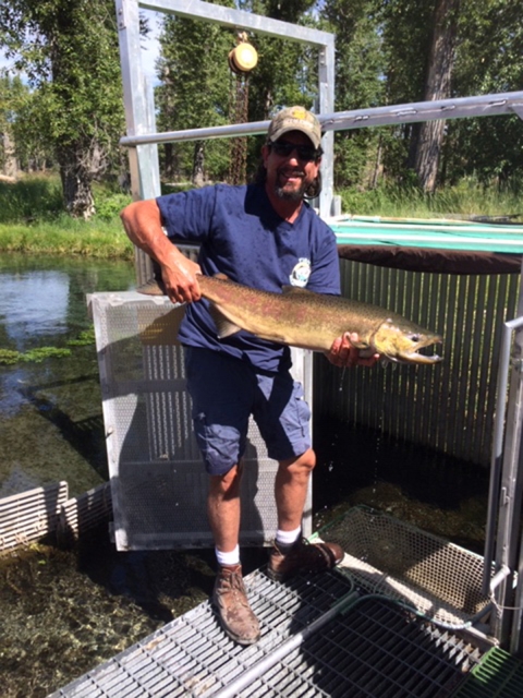 A man in shorts and T-shirt holds up a beautiful fish beside a structure next to a stream.
