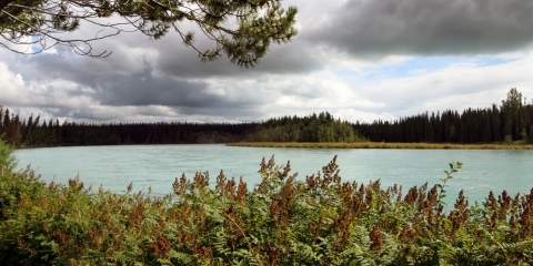 a river surrounded by vegetation and darkening skies