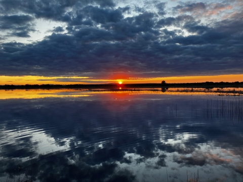 Sunrise creates an orange band over flooded wetlands.