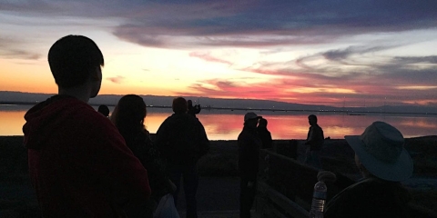 Visitor silhouettes overlooking water with a colorful sunset.