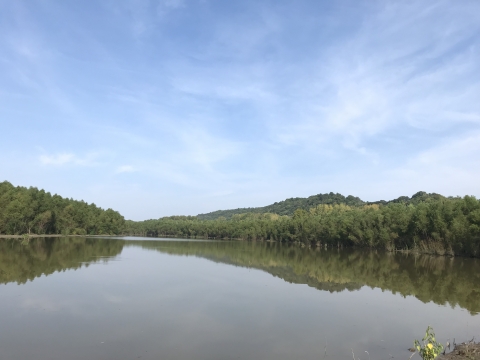 Rockwood Division of Middle Mississippi National Wildlife Refuge