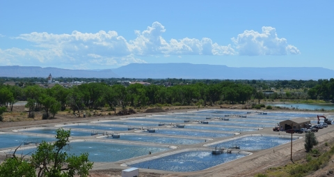 Horsethief Canyon Native Fish Facility in Fruita Colorado