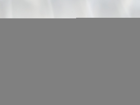 Dwarf Wedge Mussel