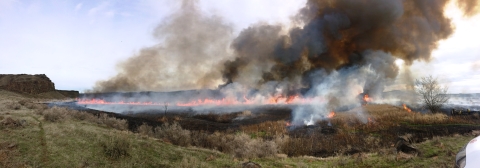 Smoke from a prescribed fire enters the sky.