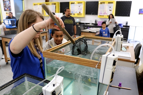A woman dips a net in an aquarium while a boy watches eagerly