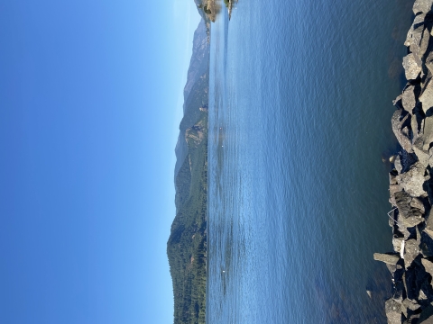 Columbia River from shoreline