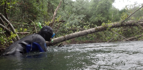 a person snorkeling in river