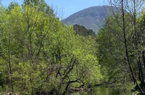 A stream through the mountains.