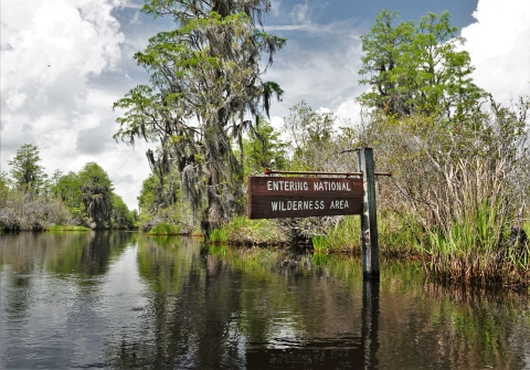 A sign on an Okefenokee swamp water trail reads Entering National Wilderness Area