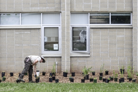Lon person bending over, adjusting a potted plant amidst several potted plants next to a building