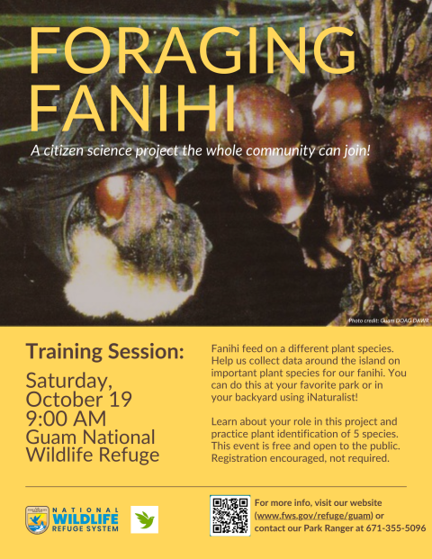 Foraging Fanihi Project Advertisement. The background of the poster shows a fruit bat eating fruit. The bottom of the poster shows the date and time of a training event and gives the background of the event.