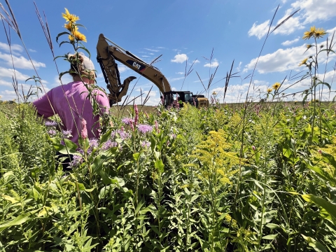 Person standing with their back to the camera in tall flowering plants and grasses
