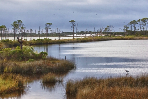 Wetland open waters surrounded by grasses at Bon Secour National Wildlife Refuge