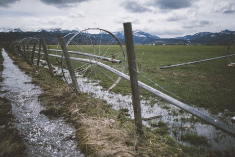 A fence-line with water flowing along it by a pasture