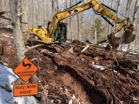 An image of an excavator picking up dirt on a wooded hillside. To the left of the excavator is an old logging road. To the right is dirt and woody debris laying over what was once a logging road. In the bottom left is a graphic of an orange traffic sign that features the silhouette of a salamander and the text, "Salamander Crossing. Road Work Ahead."