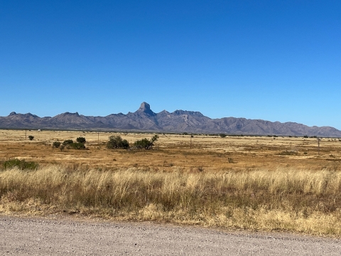 A grassland with mountains pictured in the background