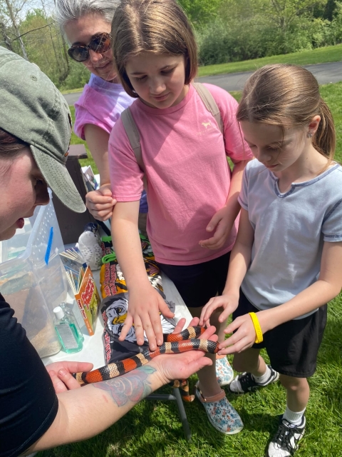 Kids petting snake