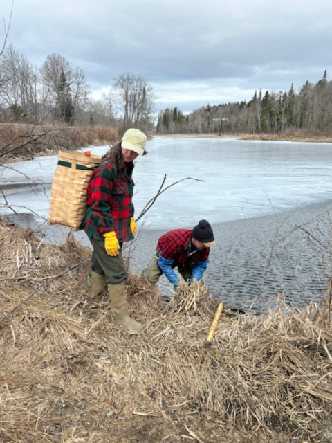 Two trappers stand near a waterway setting a trap for target furbearer species 