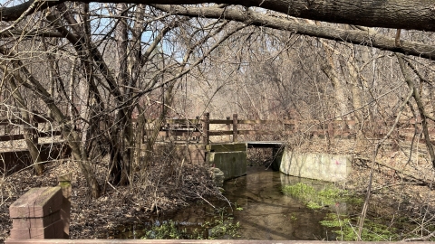 An old water control structure (barrier) on Ike’s Creek. 