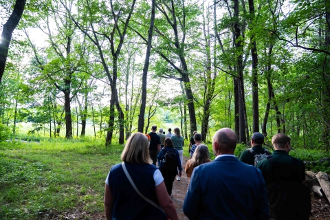 A large group of people walk down a wooded path toward an opening where there is a wetland.