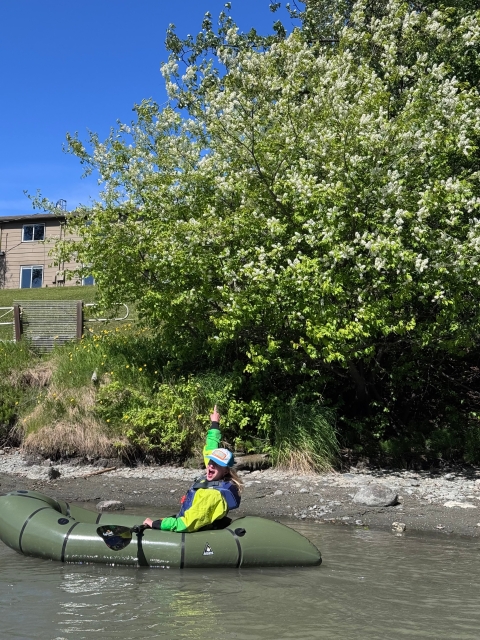 Person in packraft on Kenai River pointing to invasive Prunus sp. tree.
