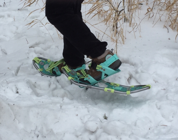Person snowshoeing, close up of snowshoes