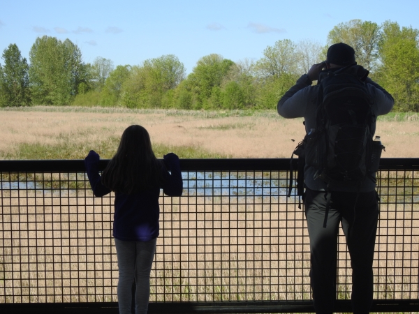Silhouette of adult and child looking for birds in a marsh
