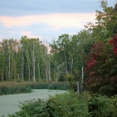 Wetlands at Fannie Stebbins Unit of Silvio O Conte National Fish and Wildlife Refuge
