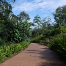 A paved trail is surrounded by a variety of green plants and trees on either side. It is partially cloudy with blue skys.