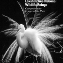 Arthur R. Marshall Loxahatchee Comprehensive Conservation Plan