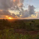 Sun sets over the savanna habitat in the Mariana Islands