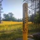 A gas pipeline maker with pollinator habitat along a right-of-way