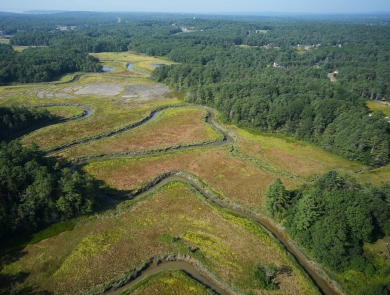 Aerial view of a saltmarsh with meandering channel