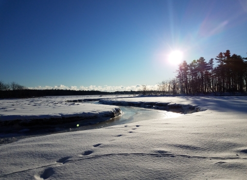 Footprints in the snow to the river that meanders through the salt marsh at Rachel Carson National Wildlife Refuge. The sun hangs low in the sky on the horizon and ice crystals reflect the beams in fractured light.